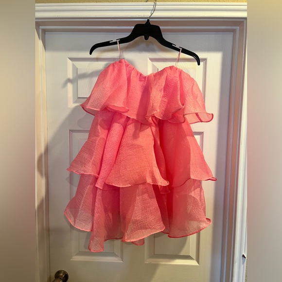 Bella & Bloom Dresses & Skirts - Klesis Bella & Bloom Pink Organza dress Medium